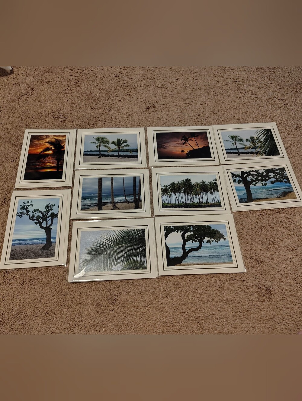 Set Of 10 Blank Tropical Beach Greeting Cards With Envelopes. New.